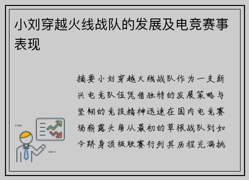 小刘穿越火线战队的发展及电竞赛事表现